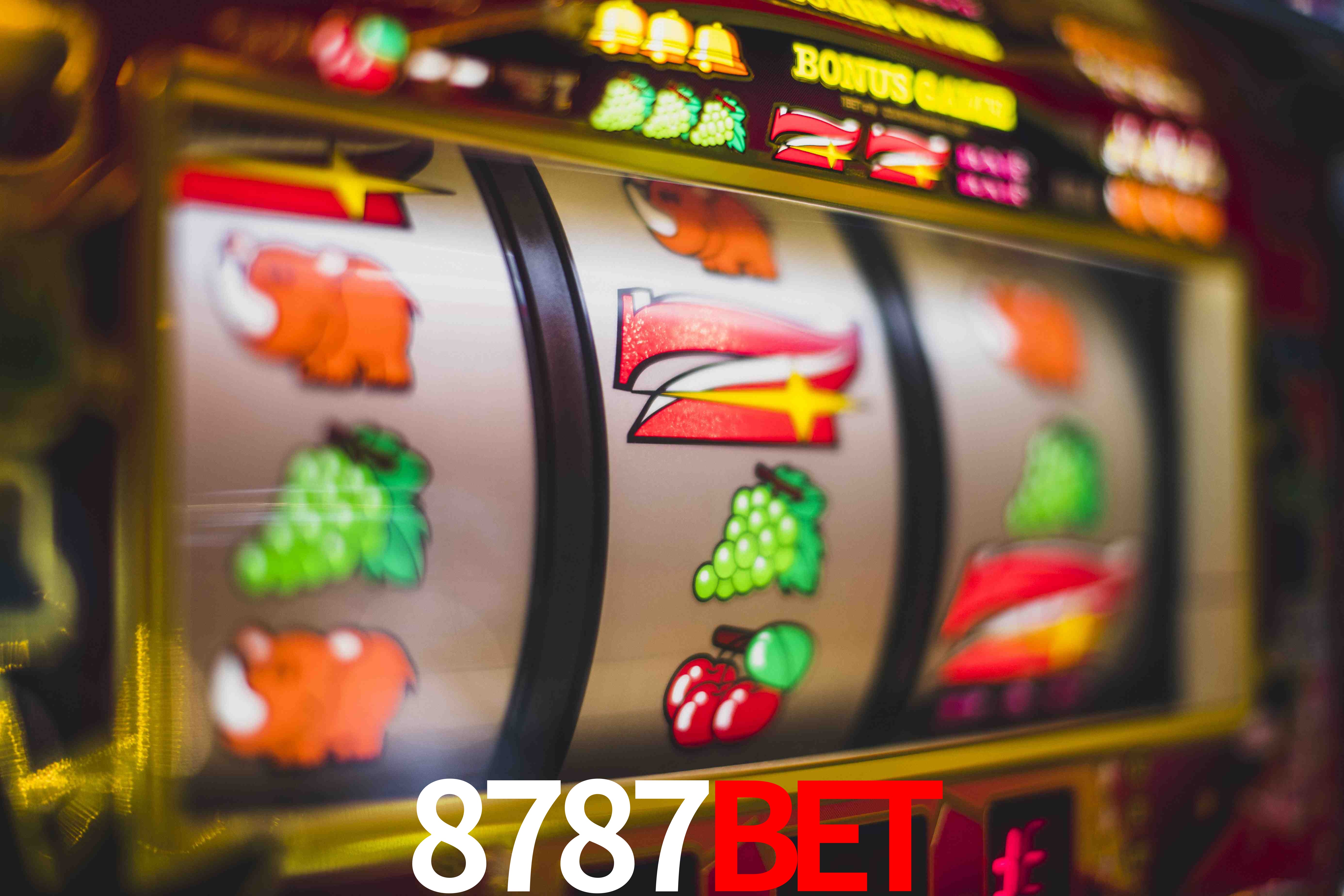 Live Casino 8787bet